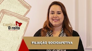 Explica Direito Filiação Socioafetiva  2019 [upl. by Esdras335]