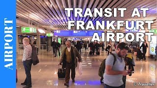 TRANSIT WALK AT FRANKFURT Airport FRA Terminal 1  Connection Flight Transfer Arriving amp Departing [upl. by Nacul886]